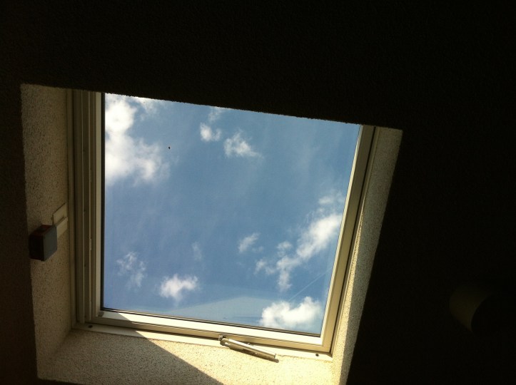 UNRECOGNIZABLE RUSTLE